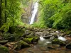 Imagem principal do artigo Férias na natureza: Reserva Natural Salto Morato é referência em ecoturismo no Brasil